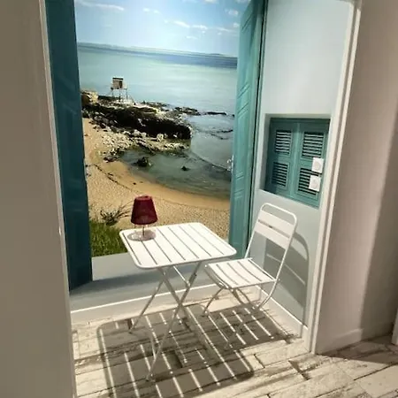 Oceane Terrasse Panoramique شقة سانت باليه سور مير